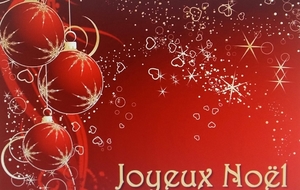 JOYEUSES FETES DE FIN D'ANNEE