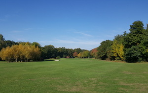5845b449dfff0_20161028153802.jpg