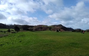 5c61a1779b5da_IMG20190210122742.jpg