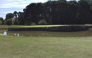 Ringer Score de l'été N°1