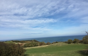 Compétition de l'asso