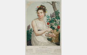 Ludique sénior d'Avril - Floréal