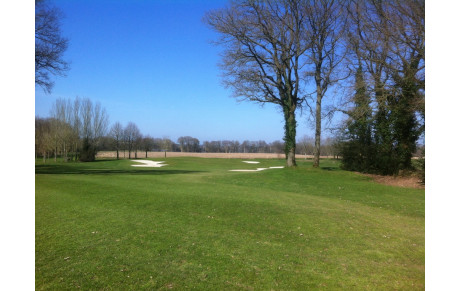 RINGER SCORE FINAL PAR SERIE