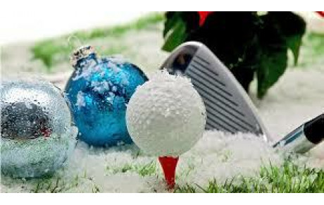 Ringer séniors d'hiver NET après 3 tours